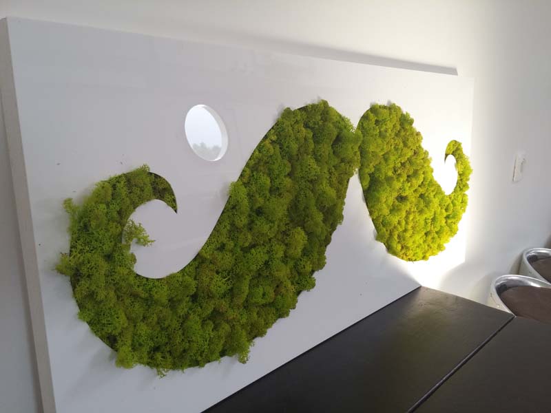 Smart Paddle_78500 SARTROUVILLE_22 Smart Paddle_78500 SARTROUVILLE_22